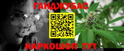 амф Дубна