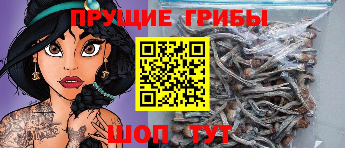 Галлюциногенные грибы прущие грибы  Вход с VPN  Менделеевск 