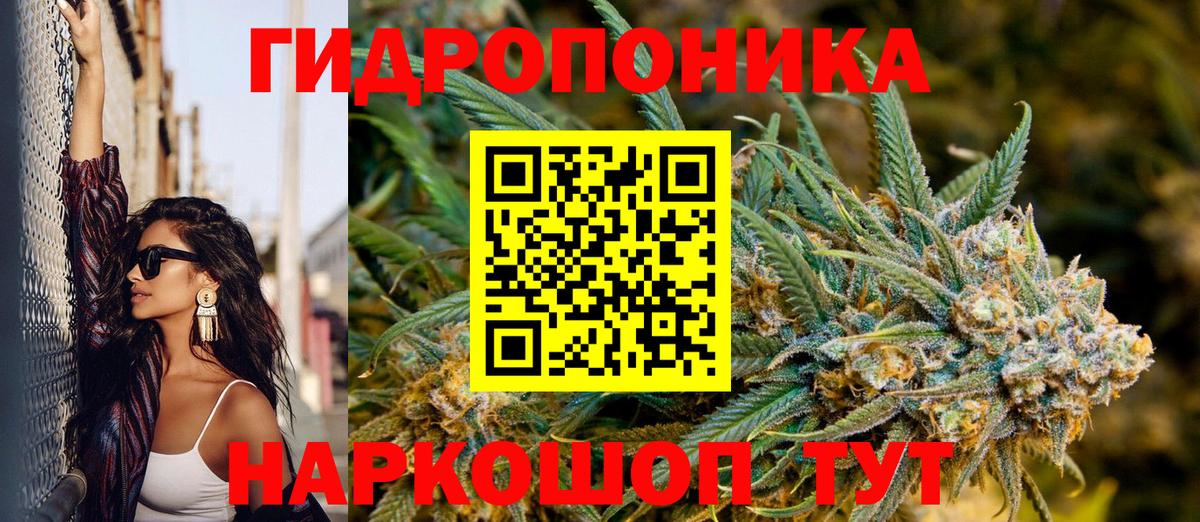 Канабис планчик Менделеевск